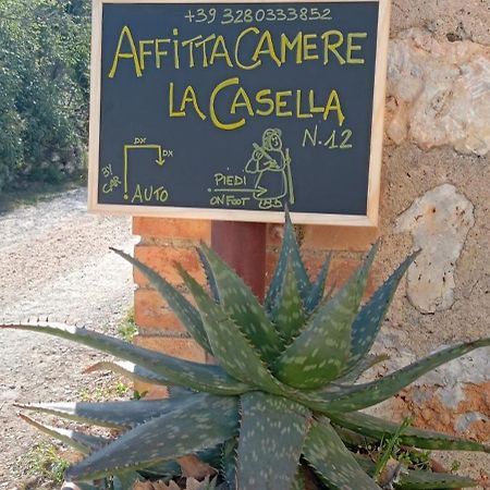 Affittacamere La Casella Monteriggioni Exterior photo